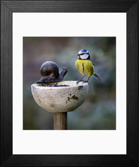 Framed Print : Picture No. 10894756 Framed Print : Picture No. 10894756