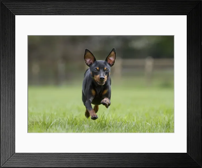 Framed Print : Picture No. 10894757 Framed Print : Picture No. 10894757
