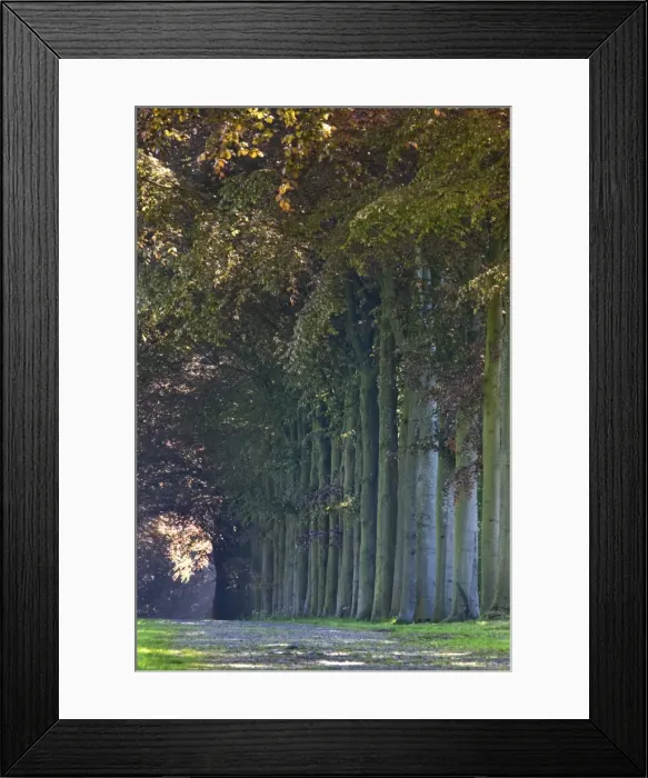 Framed Print : Picture No. 10894765 Framed Print : Picture No. 10894765