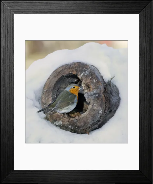 Framed Print : Picture No. 10894769 Framed Print : Picture No. 10894769