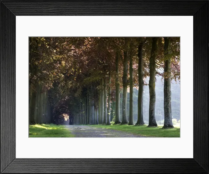 Framed Print : Picture No. 10894766