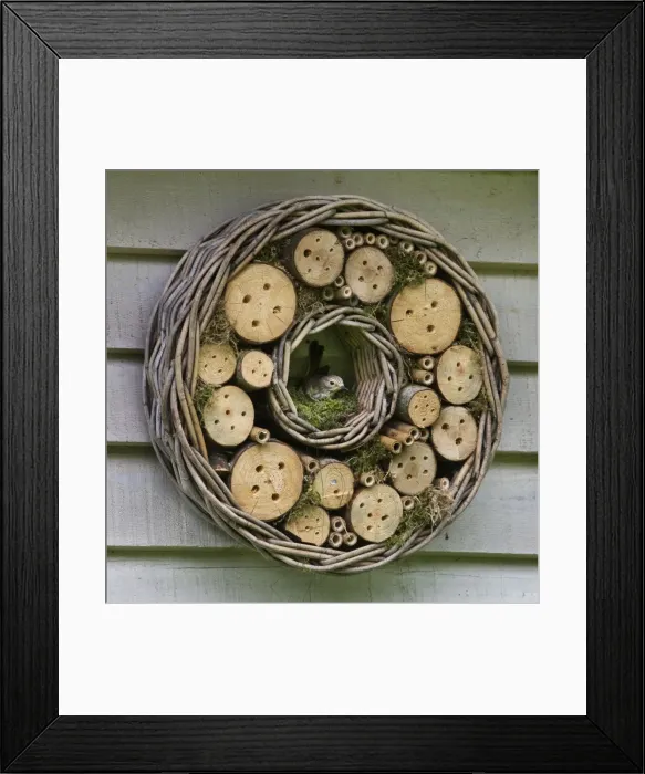 Framed Print : Picture No. 10894778 Framed Print : Picture No. 10894778