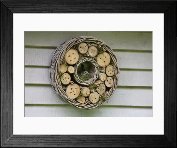 Framed Print : Picture No. 10894776 Framed Print : Picture No. 10894776