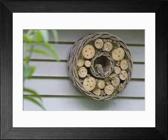 Framed Print : Picture No. 10894777 Framed Print : Picture No. 10894777