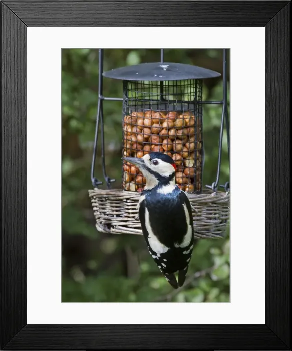 Framed Print : Picture No. 10894798 Framed Print : Picture No. 10894798