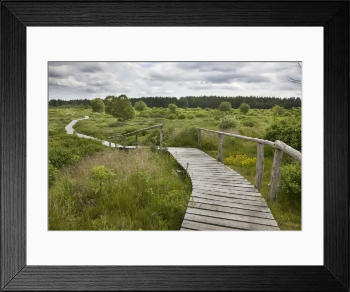 Framed Print : Picture No. 10894788 Framed Print : Picture No. 10894788