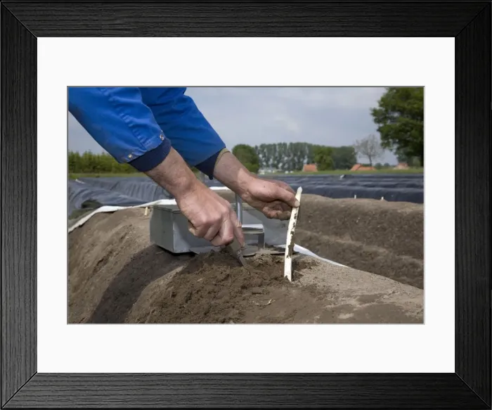 Framed Print : Picture No. 10894804 Framed Print : Picture No. 10894804