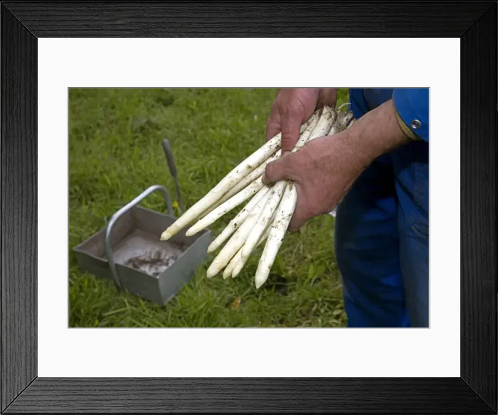 Framed Print : Picture No. 10894806 Framed Print : Picture No. 10894806