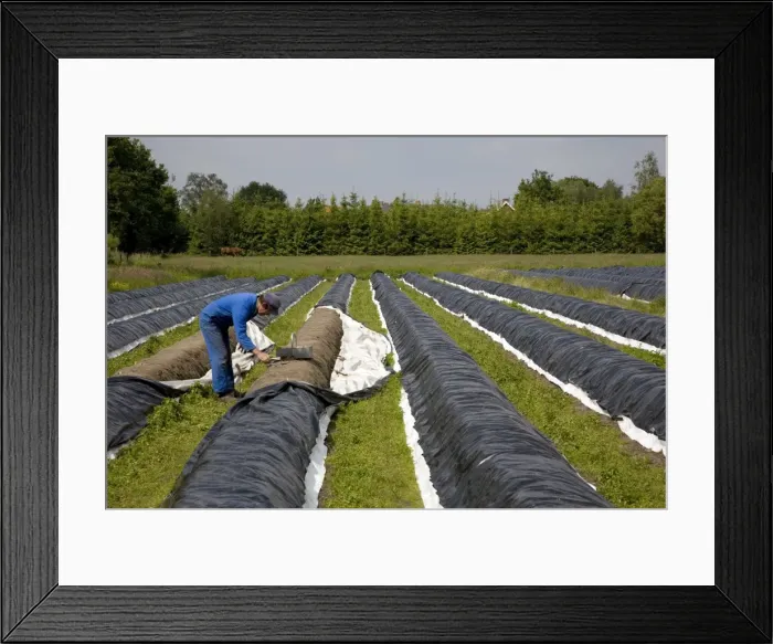 Framed Print : Picture No. 10894805 Framed Print : Picture No. 10894805