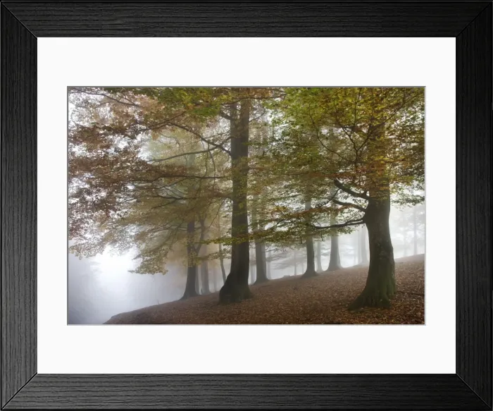 Framed Print : Picture No. 10894809 Framed Print : Picture No. 10894809