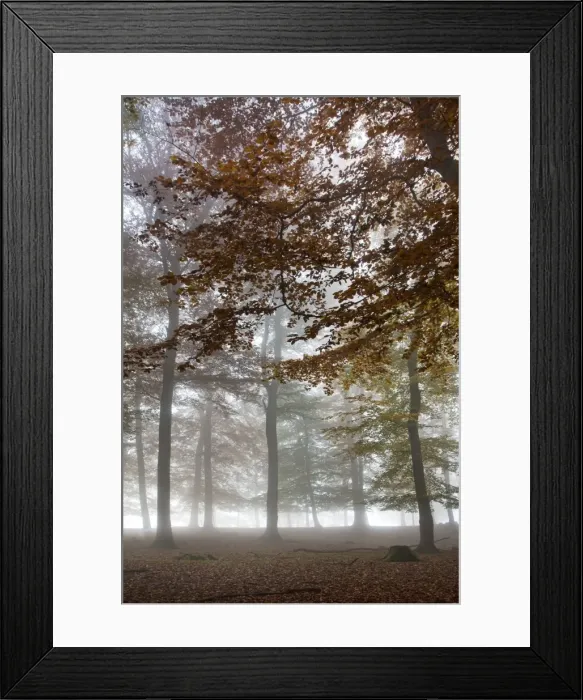 Framed Print : Picture No. 10894808 Framed Print : Picture No. 10894808