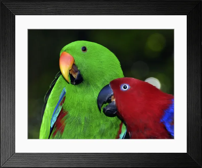 Framed Print : Picture No. 10894927 Framed Print : Picture No. 10894927