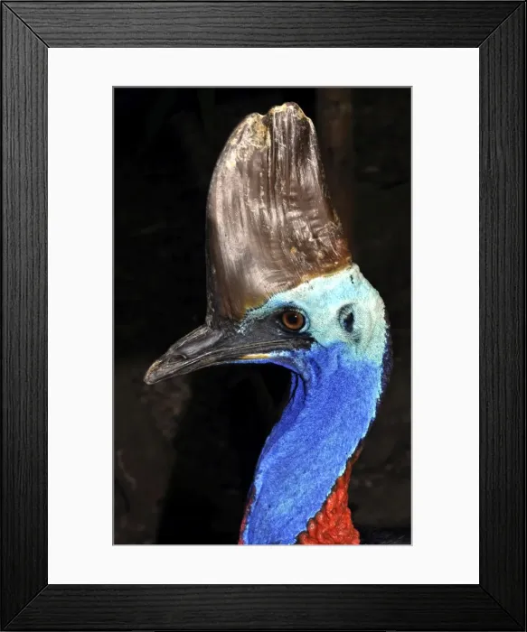 Framed Print : Picture No. 10894934 Framed Print : Picture No. 10894934