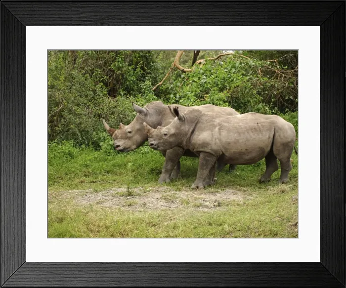 Framed Print : Picture No. 10894943