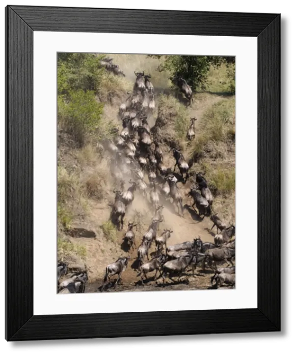 Framed Print : Picture No. 10894947 Framed Print : Picture No. 10894947