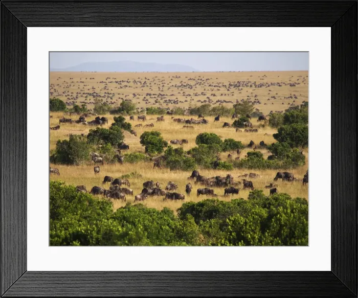 Framed Print : Picture No. 10894950 Framed Print : Picture No. 10894950