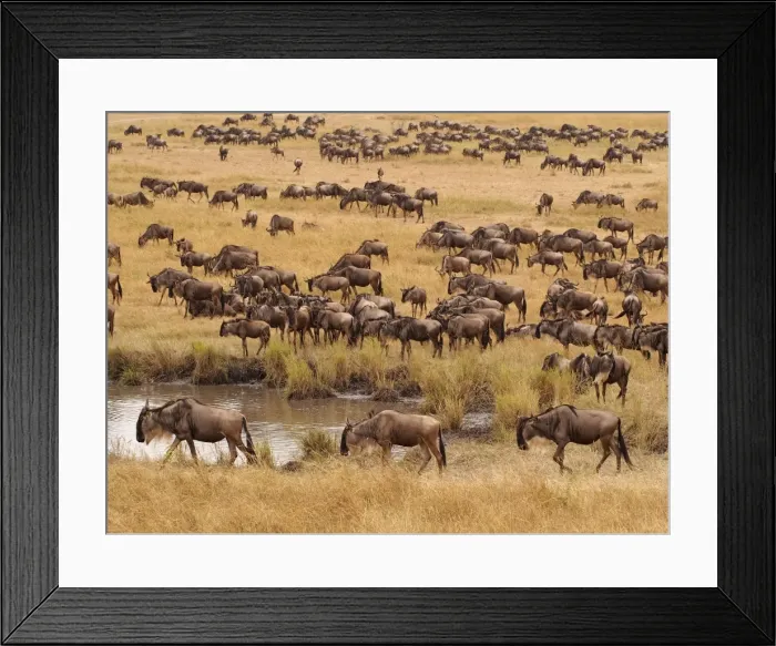Framed Print : Picture No. 10894953 Framed Print : Picture No. 10894953