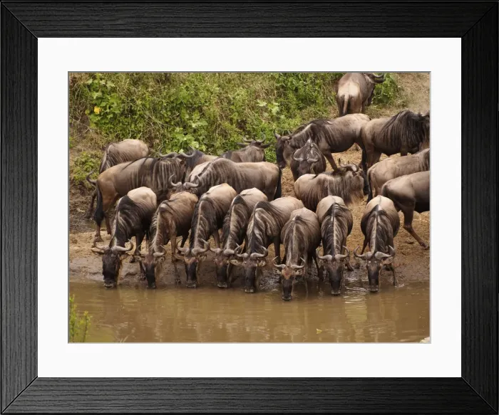 Framed Print : Picture No. 10894954 Framed Print : Picture No. 10894954