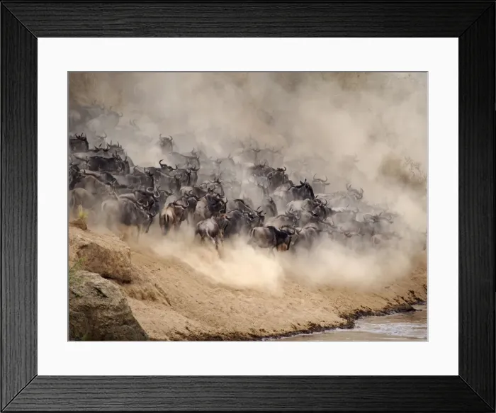 Framed Print : Picture No. 10894960 Framed Print : Picture No. 10894960