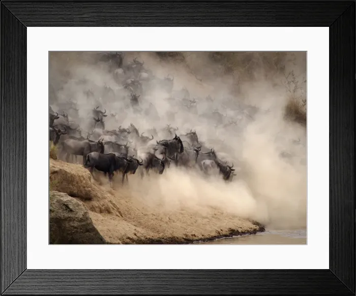 Framed Print : Picture No. 10894961 Framed Print : Picture No. 10894961