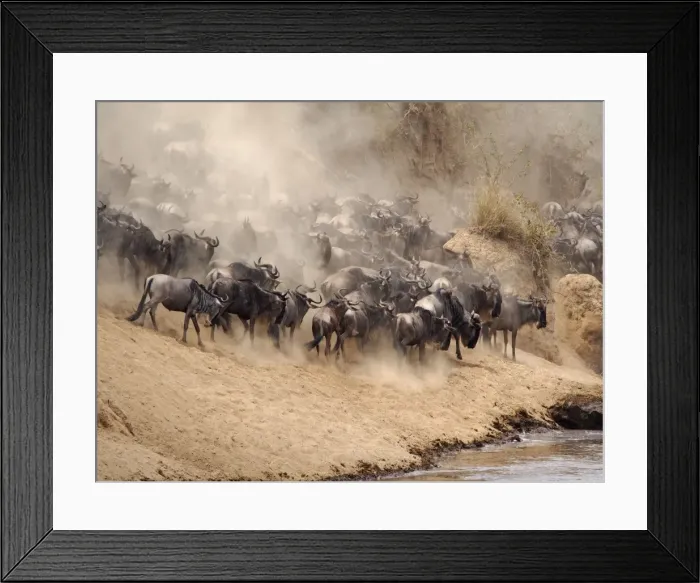 Framed Print : Picture No. 10894958 Framed Print : Picture No. 10894958