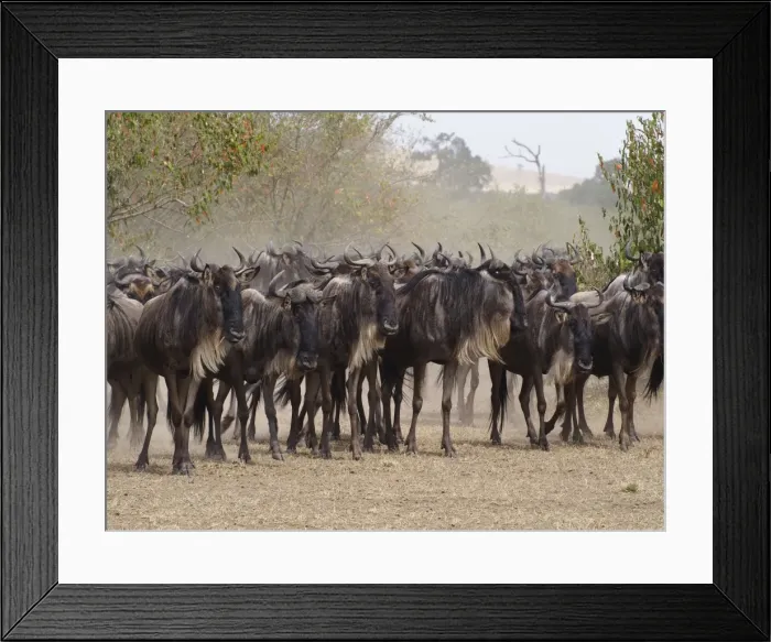 Framed Print : Picture No. 10894956 Framed Print : Picture No. 10894956