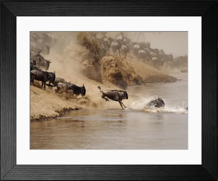 Framed Print : Picture No. 10894959