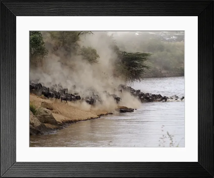 Framed Print : Picture No. 10894962 Framed Print : Picture No. 10894962
