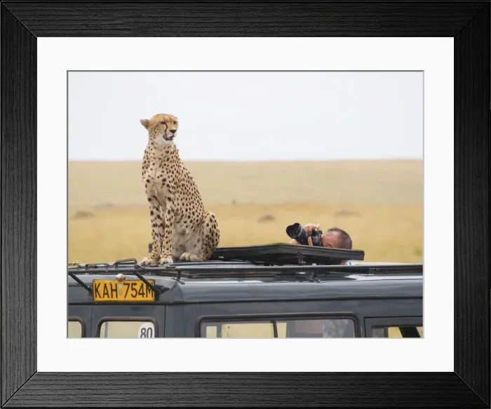 Framed Print : Picture No. 10894969 Framed Print : Picture No. 10894969