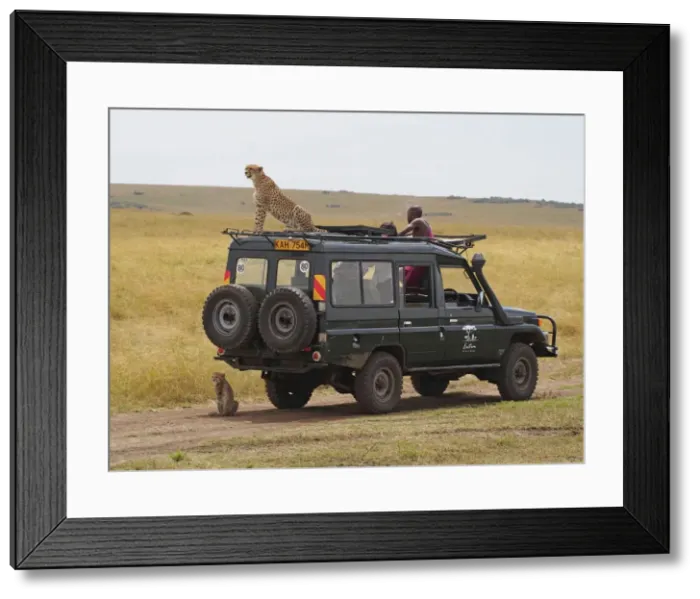 Framed Print : Picture No. 10894970 Framed Print : Picture No. 10894970