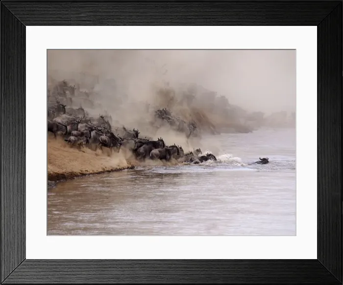 Framed Print : Picture No. 10894978 Framed Print : Picture No. 10894978