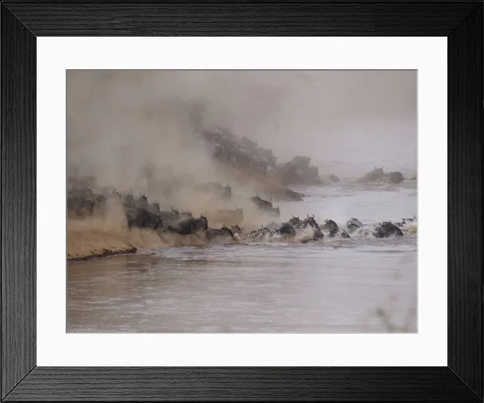 Framed Print : Picture No. 10894979 Framed Print : Picture No. 10894979
