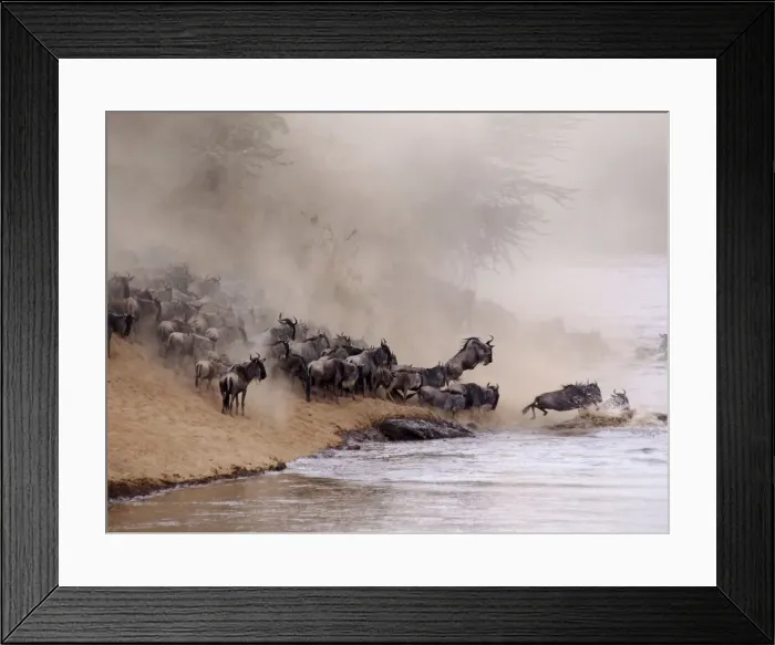 Framed Print : Picture No. 10894980 Framed Print : Picture No. 10894980