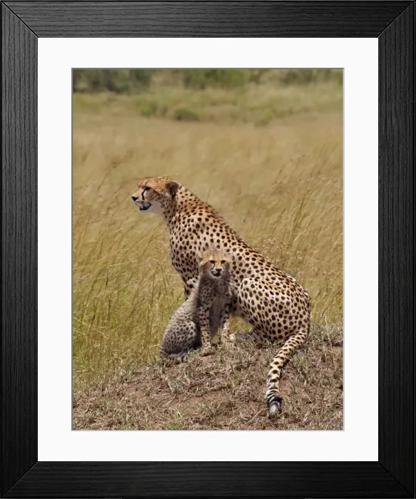 Framed Print : Picture No. 10894972 Framed Print : Picture No. 10894972