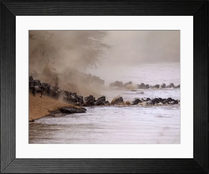 Framed Print : Picture No. 10894982 Framed Print : Picture No. 10894982