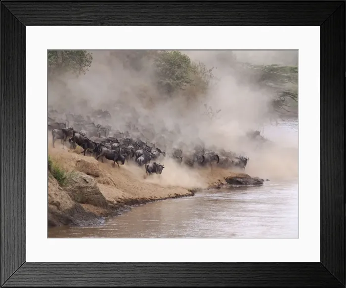 Framed Print : Picture No. 10894977