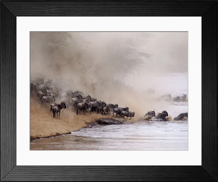 Framed Print : Picture No. 10894981 Framed Print : Picture No. 10894981
