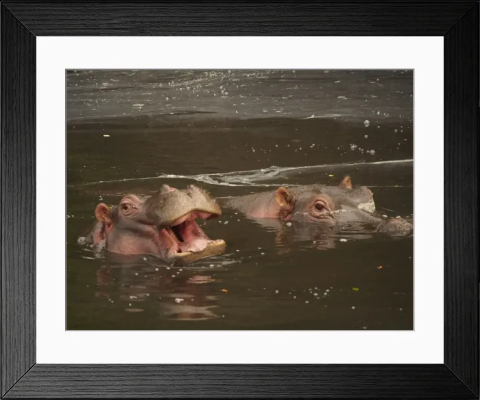 Framed Print : Picture No. 10894983 Framed Print : Picture No. 10894983