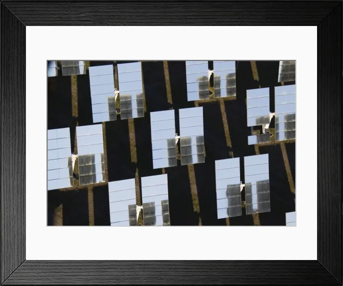 Framed Print : Picture No. 10894997