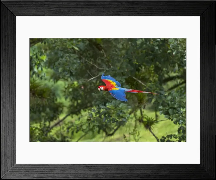 Framed Print : Picture No. 10895065 Framed Print : Picture No. 10895065