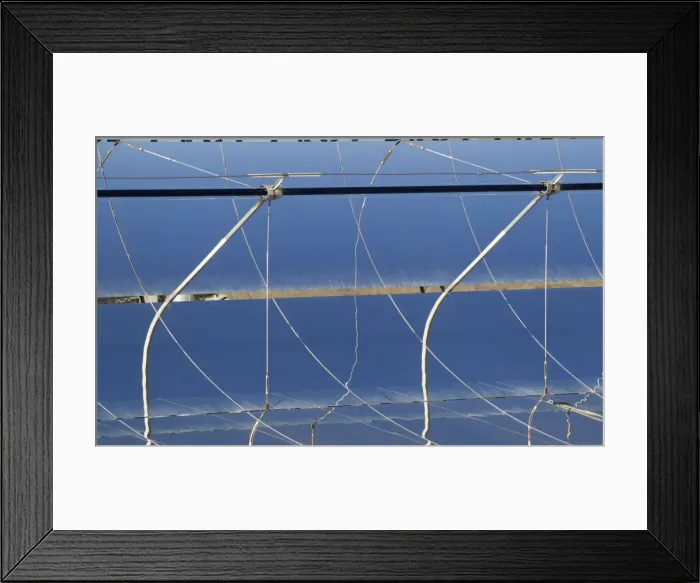 Framed Print : Picture No. 10895002 Framed Print : Picture No. 10895002