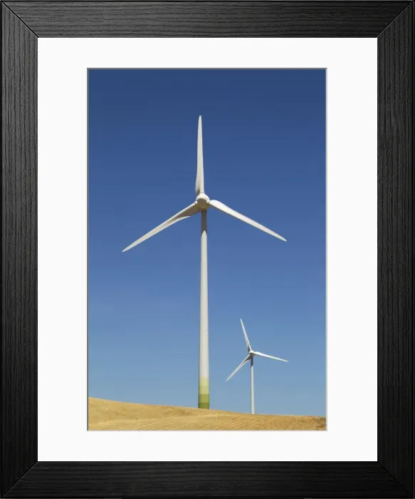 Framed Print : Picture No. 10895009 Framed Print : Picture No. 10895009