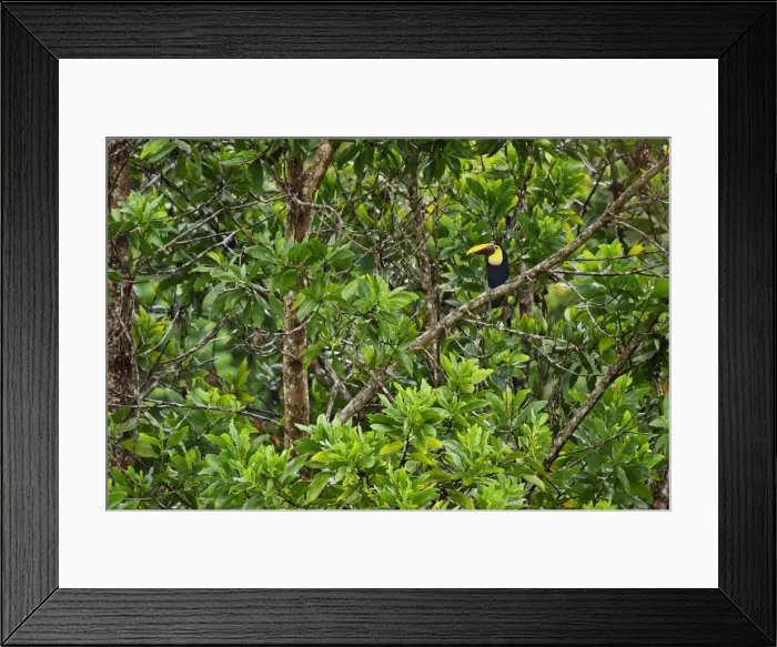 Framed Print : Picture No. 10895080 Framed Print : Picture No. 10895080