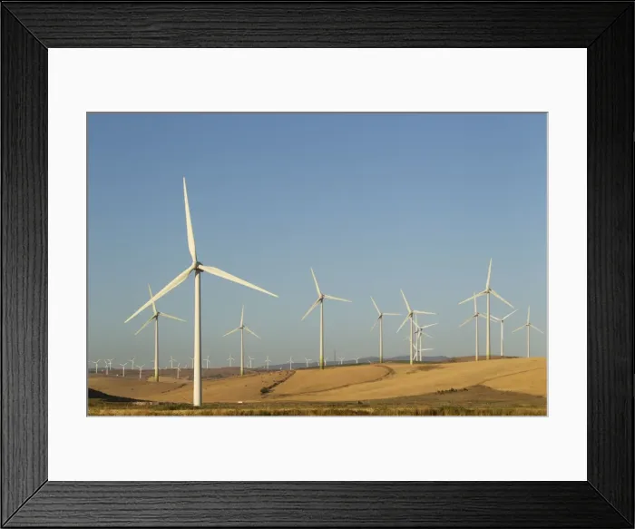 Framed Print : Picture No. 10895019 Framed Print : Picture No. 10895019