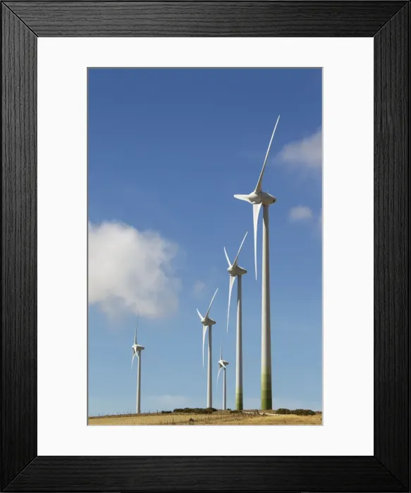 Framed Print : Picture No. 10895022 Framed Print : Picture No. 10895022