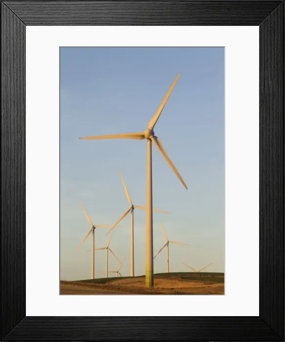 Framed Print : Picture No. 10895023 Framed Print : Picture No. 10895023