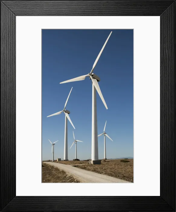 Framed Print : Picture No. 10895024 Framed Print : Picture No. 10895024