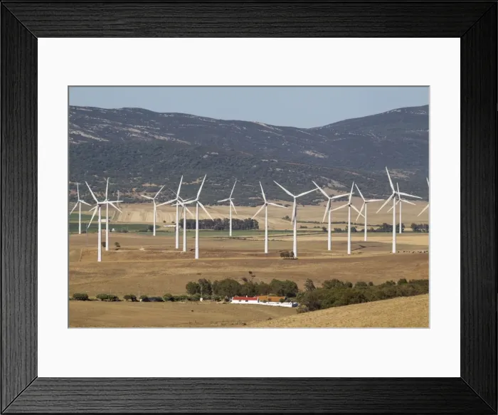 Framed Print : Picture No. 10895025 Framed Print : Picture No. 10895025