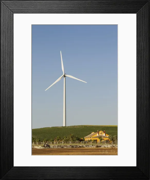 Framed Print : Picture No. 10895026 Framed Print : Picture No. 10895026