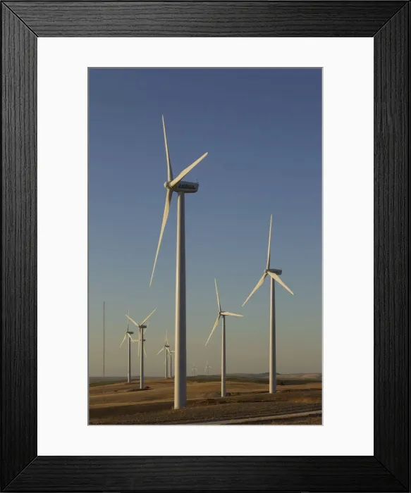 Framed Print : Picture No. 10895028 Framed Print : Picture No. 10895028
